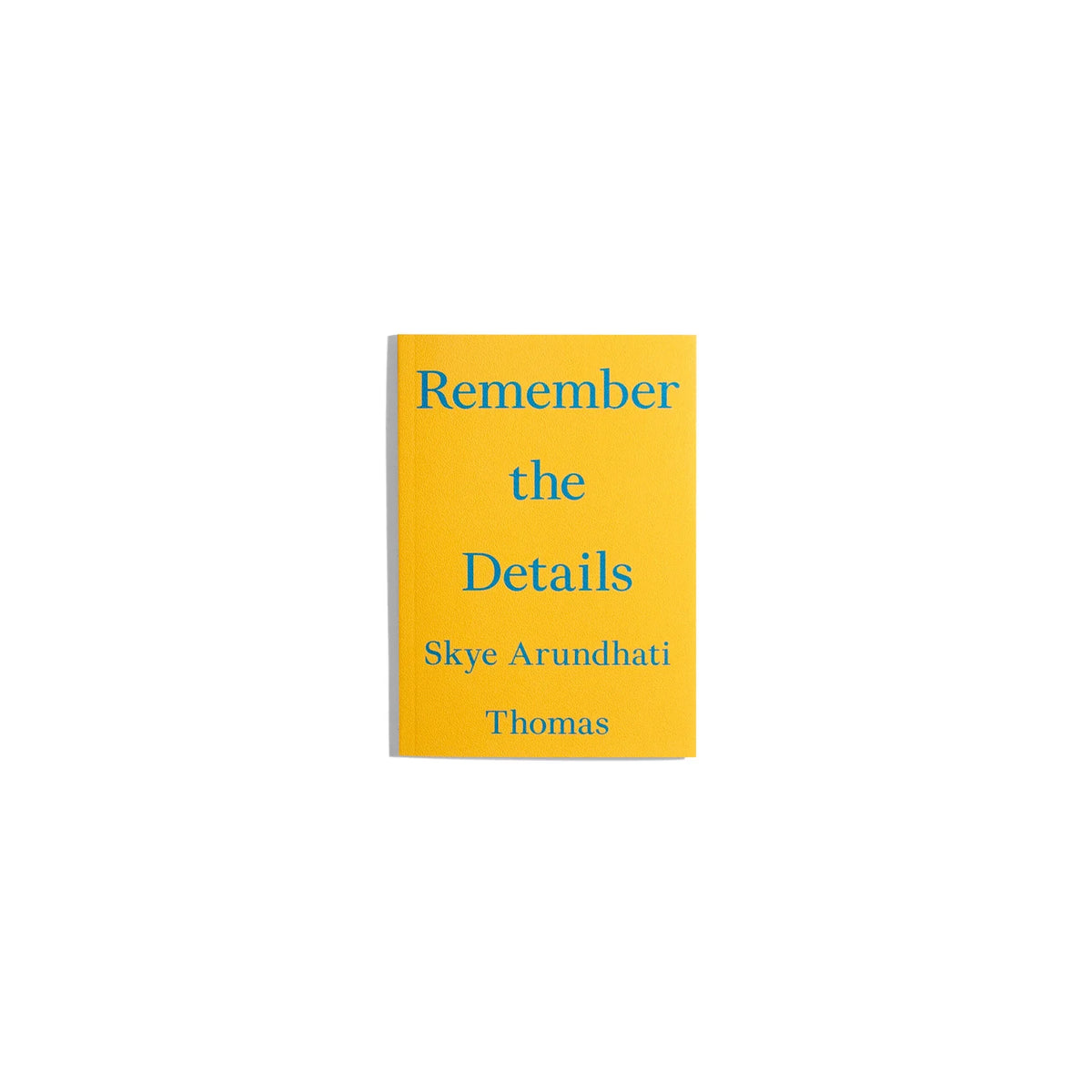 Remember the Details - Skye Aryndhati Thomas