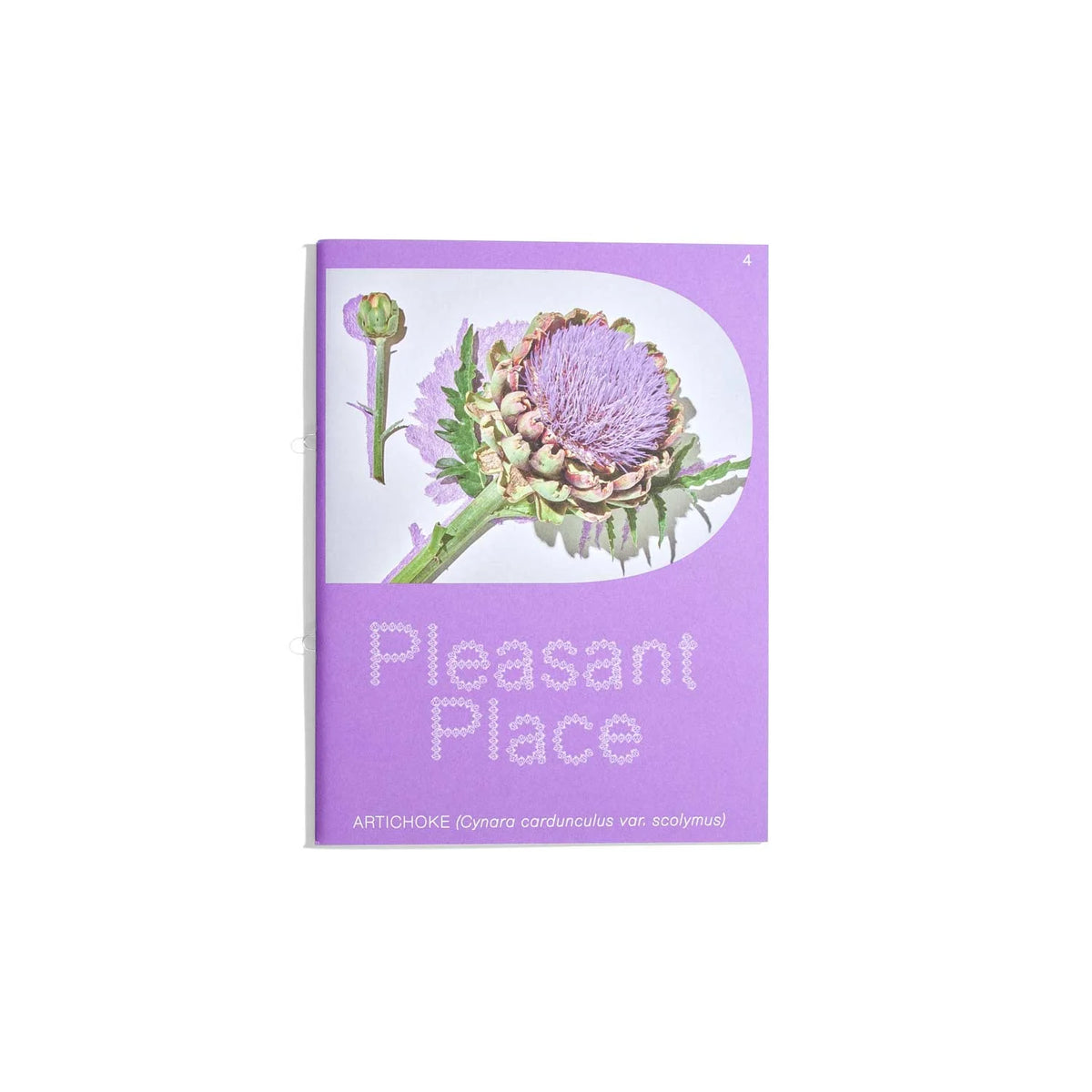 Pleasant Place  - Artichoke - Issue #4