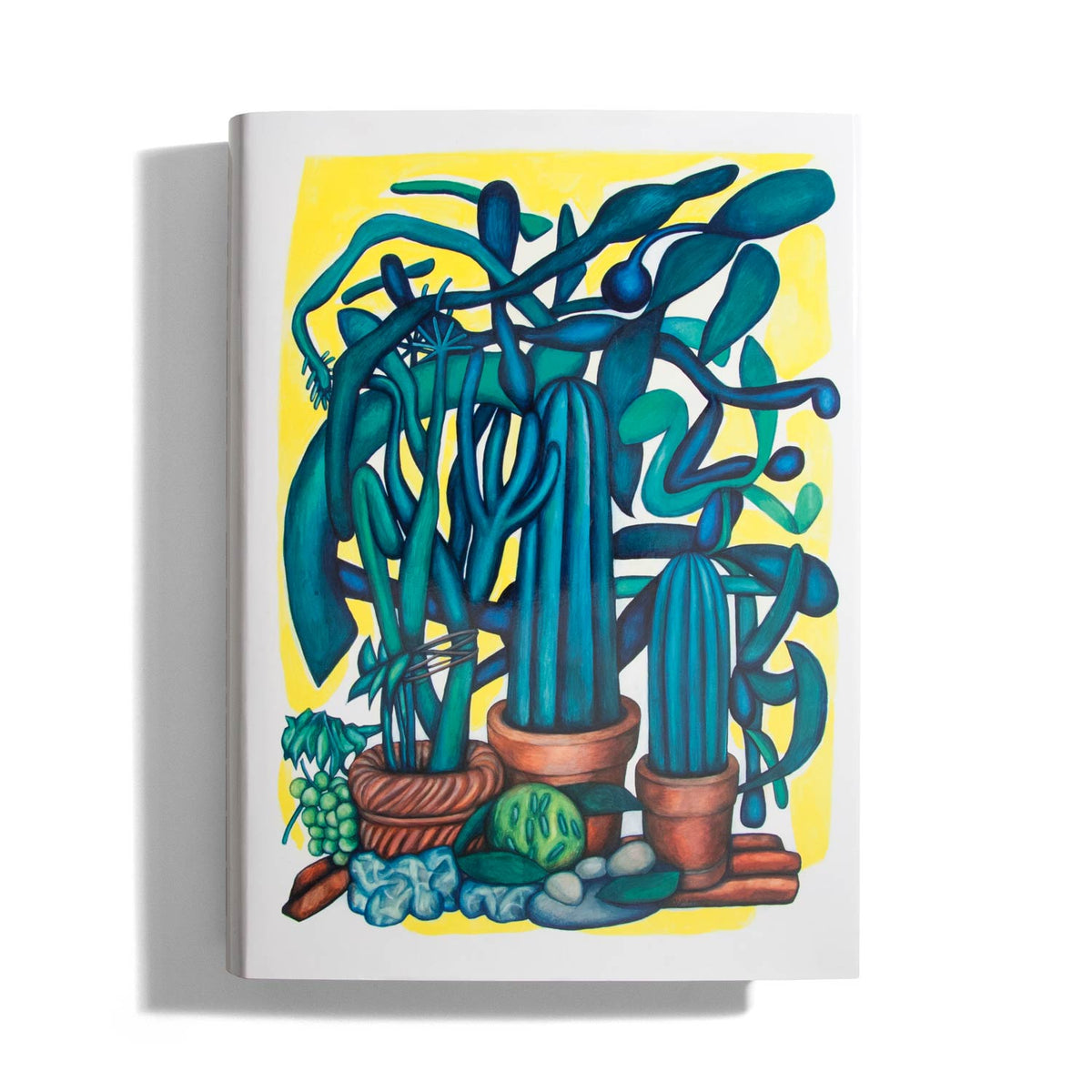 Walter Pfeiffer: Bildrausch / Drawings 1966–2018