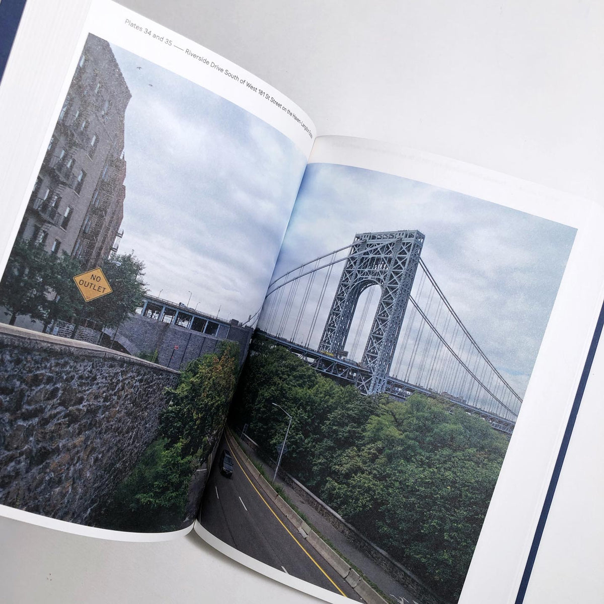 Springs and Wells: Manhattan and the Bronx - Stanley Greenberg