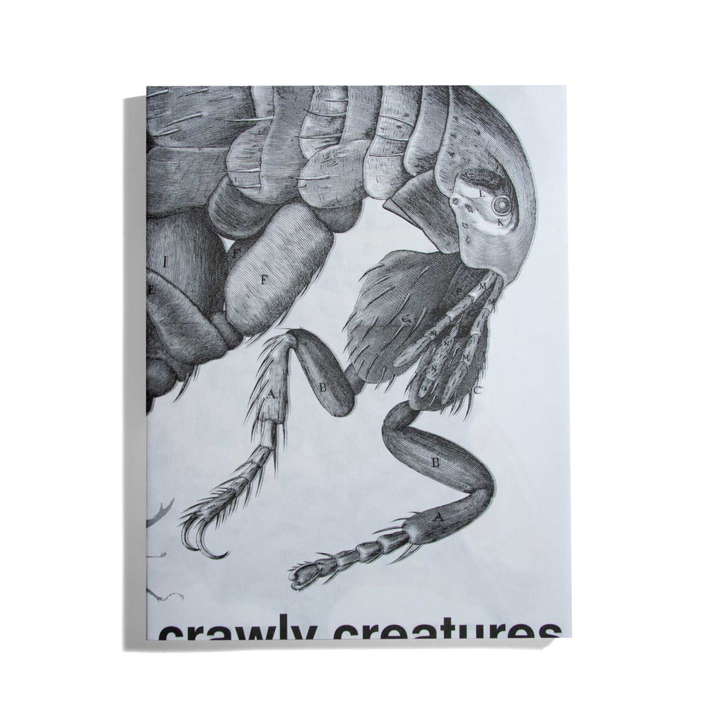 Crawly Creatures: Little Animals in Art and Science