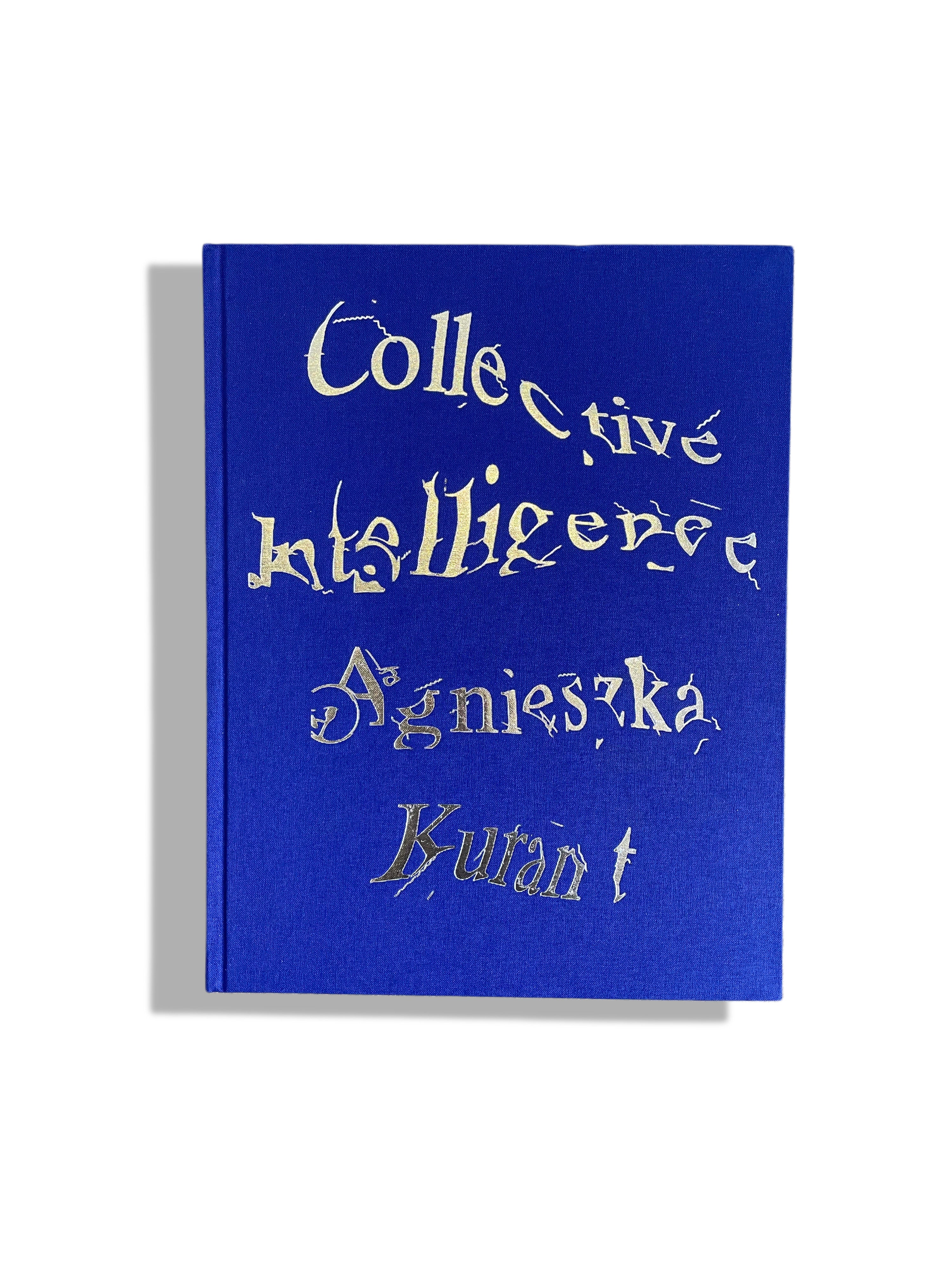 Agnieszka Kurant: Collective Intelligence