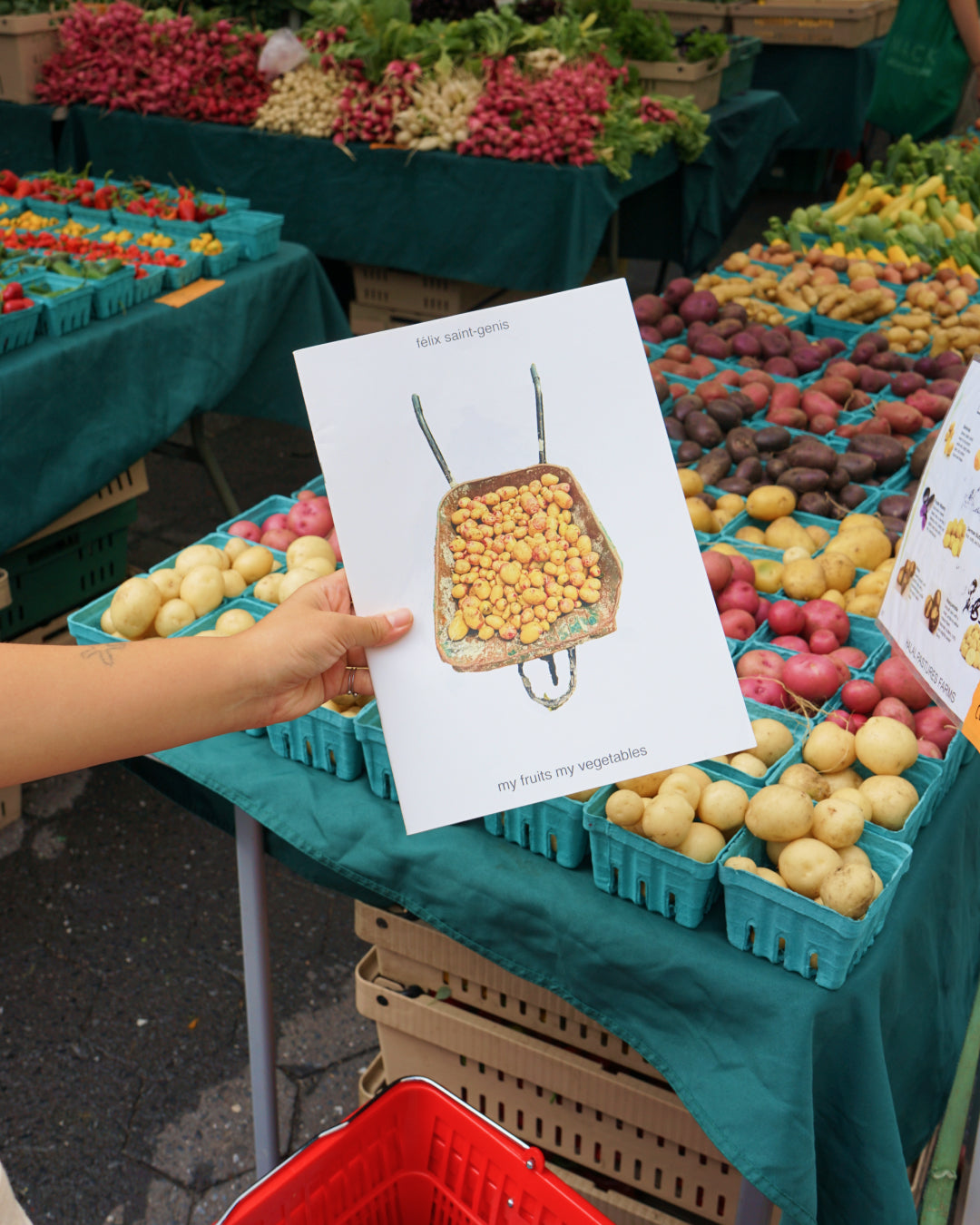 My Fruits My Vegetables - Félix Saint-Genis