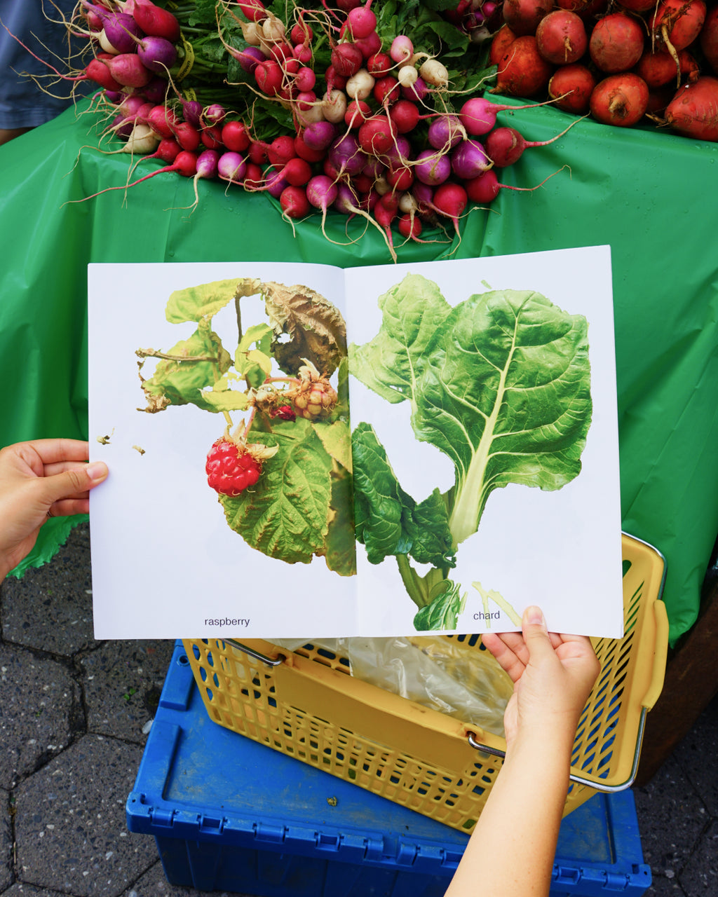 My Fruits My Vegetables - Félix Saint-Genis