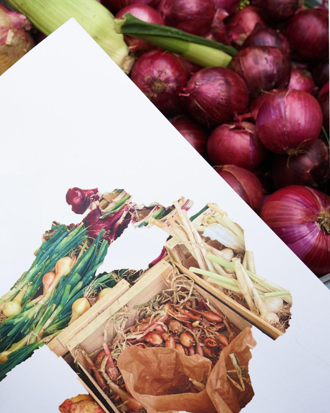 My Fruits My Vegetables - Félix Saint-Genis