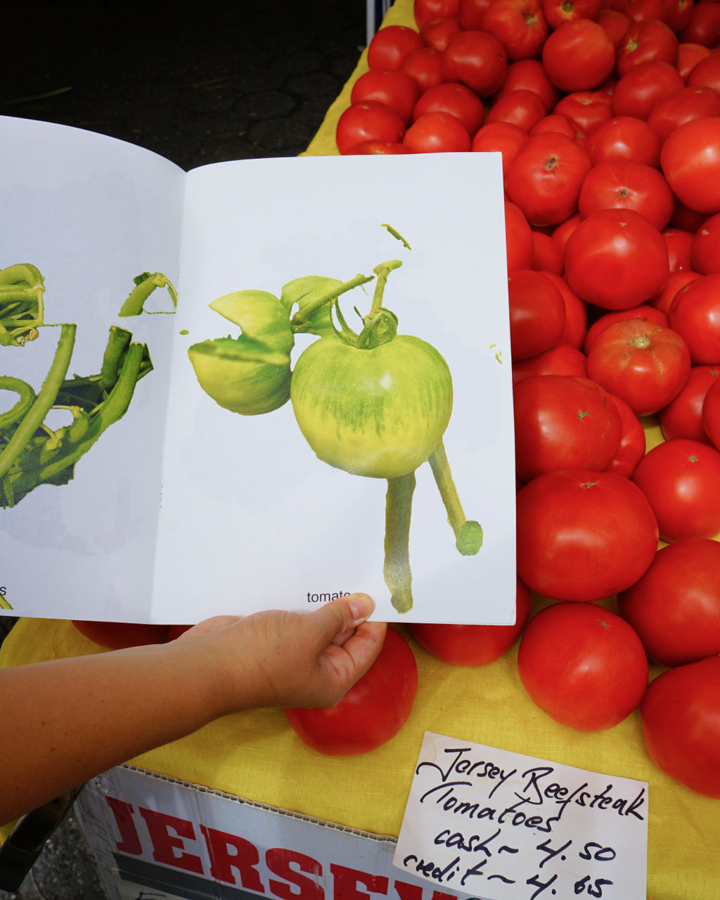 My Fruits My Vegetables - Félix Saint-Genis