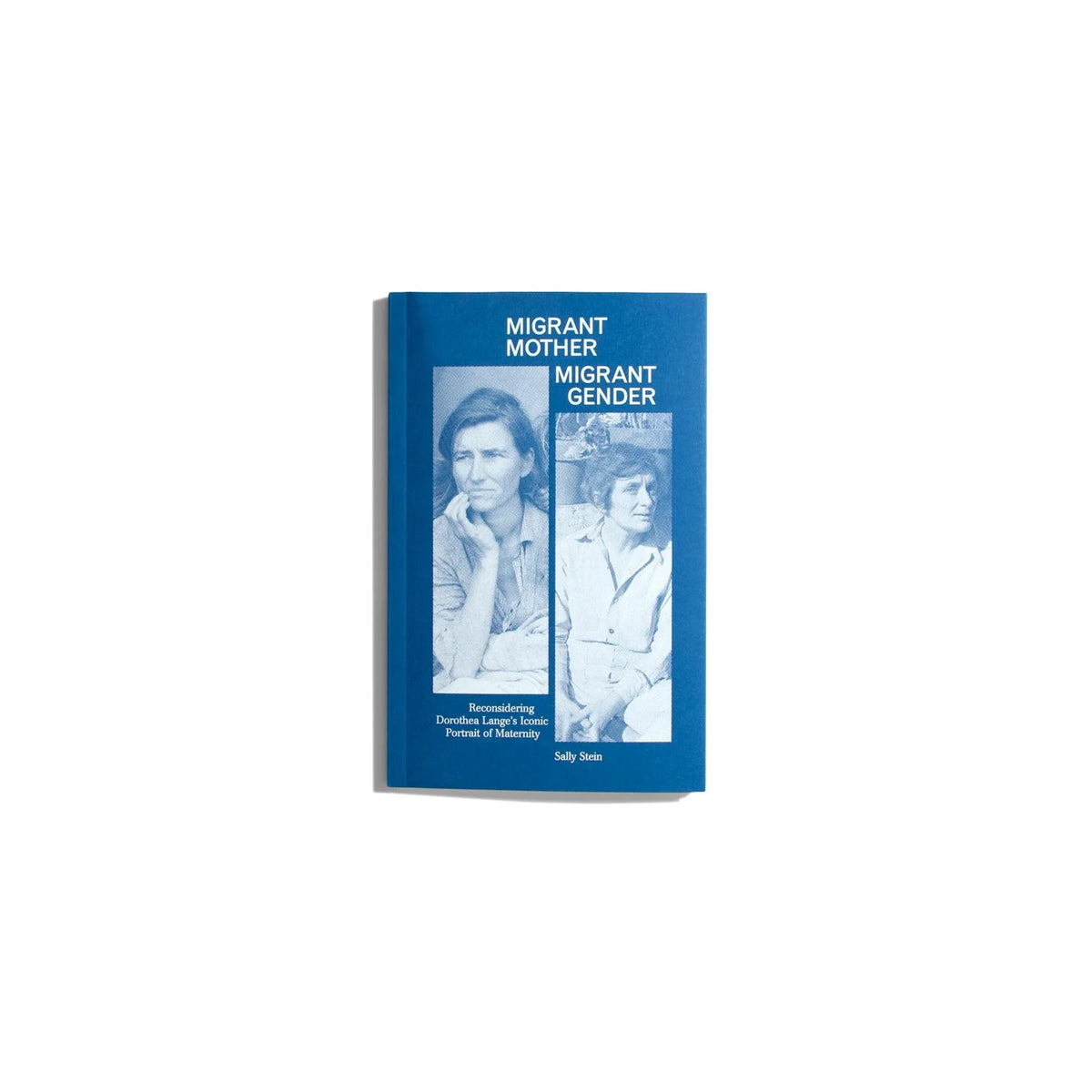 Migrant Mother, Migrant Gender - Sally Stein (Discourse Series)