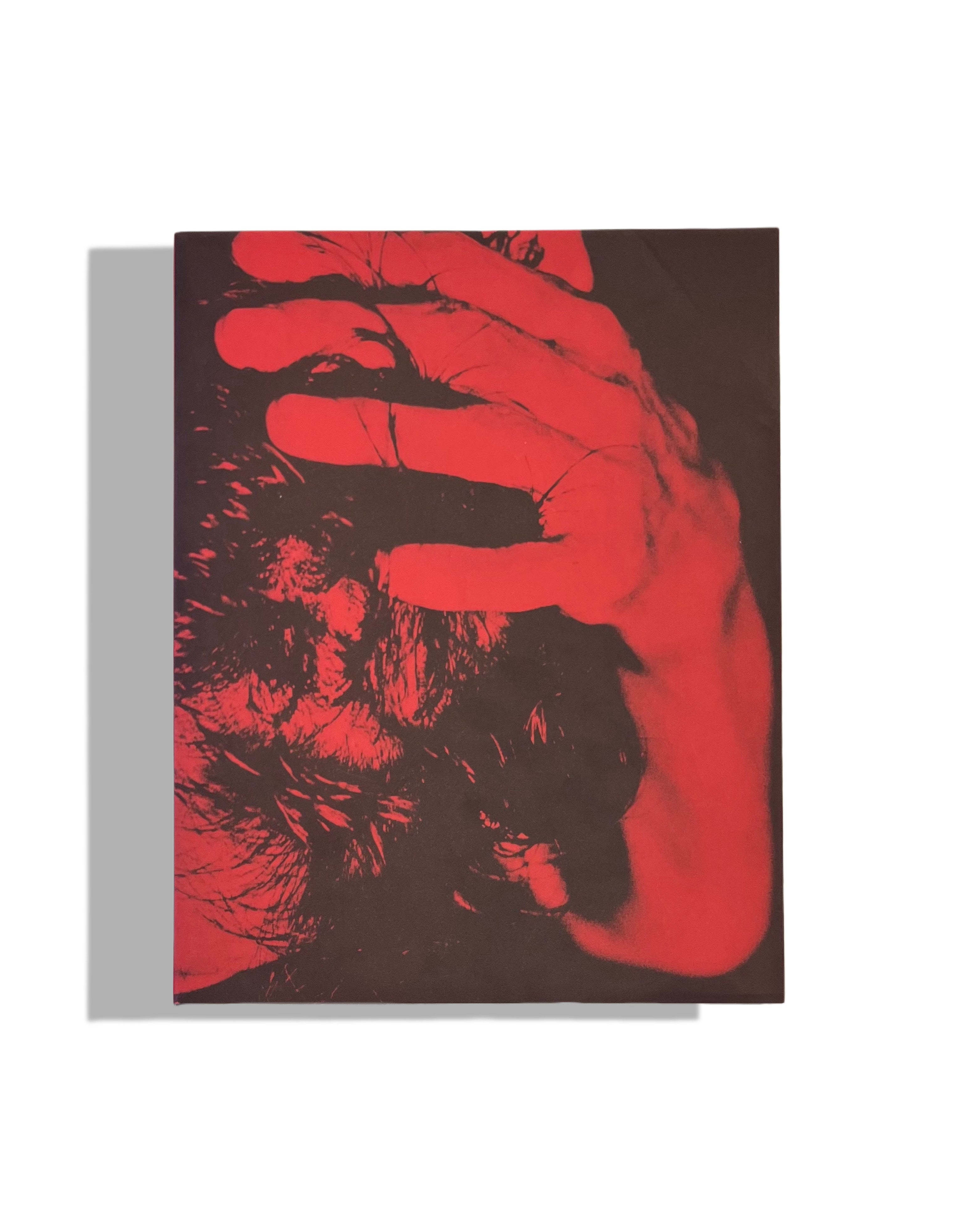 Flashpoint! Protest Photography in Print