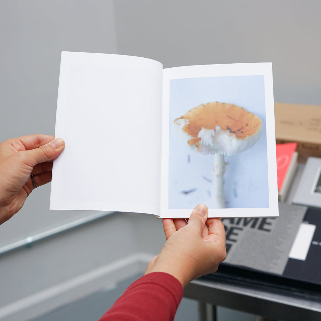 Takashi Homma – Islands, Islets, and Their Mushrooms