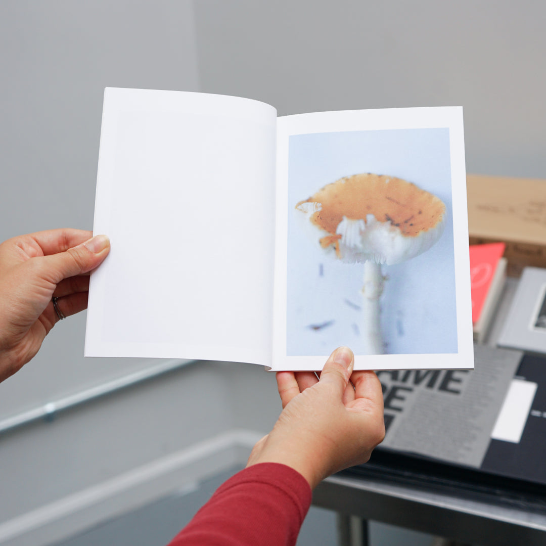 Takashi Homma – Islands, Islets, and Their Mushrooms