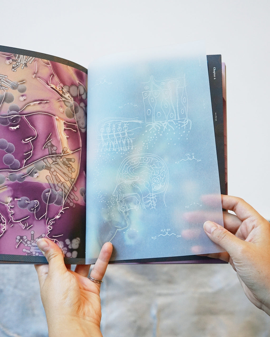 Atlas of Queer Anatomy - Henry de Vries, Kuang-Yi Ku