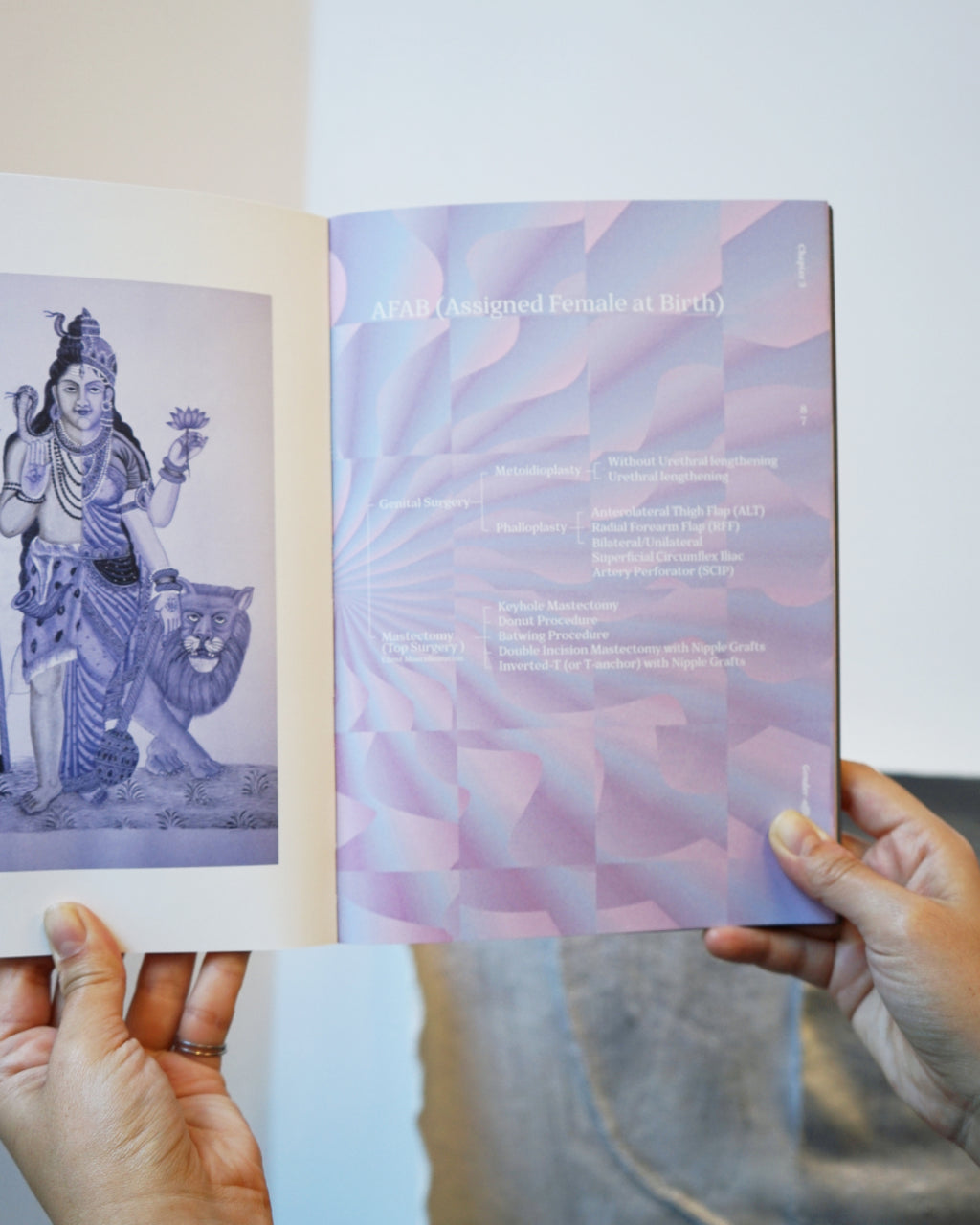 Atlas of Queer Anatomy - Henry de Vries, Kuang-Yi Ku