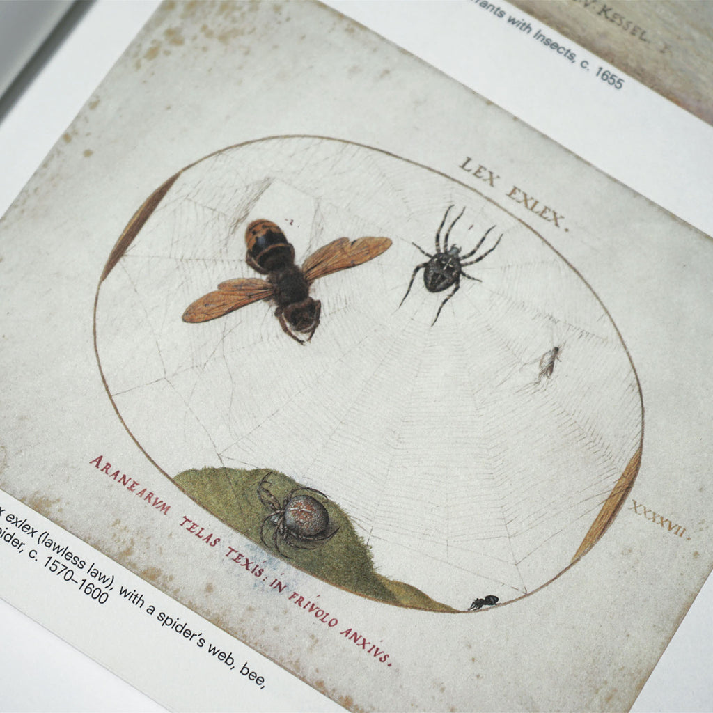 Crawly Creatures: Little Animals in Art and Science