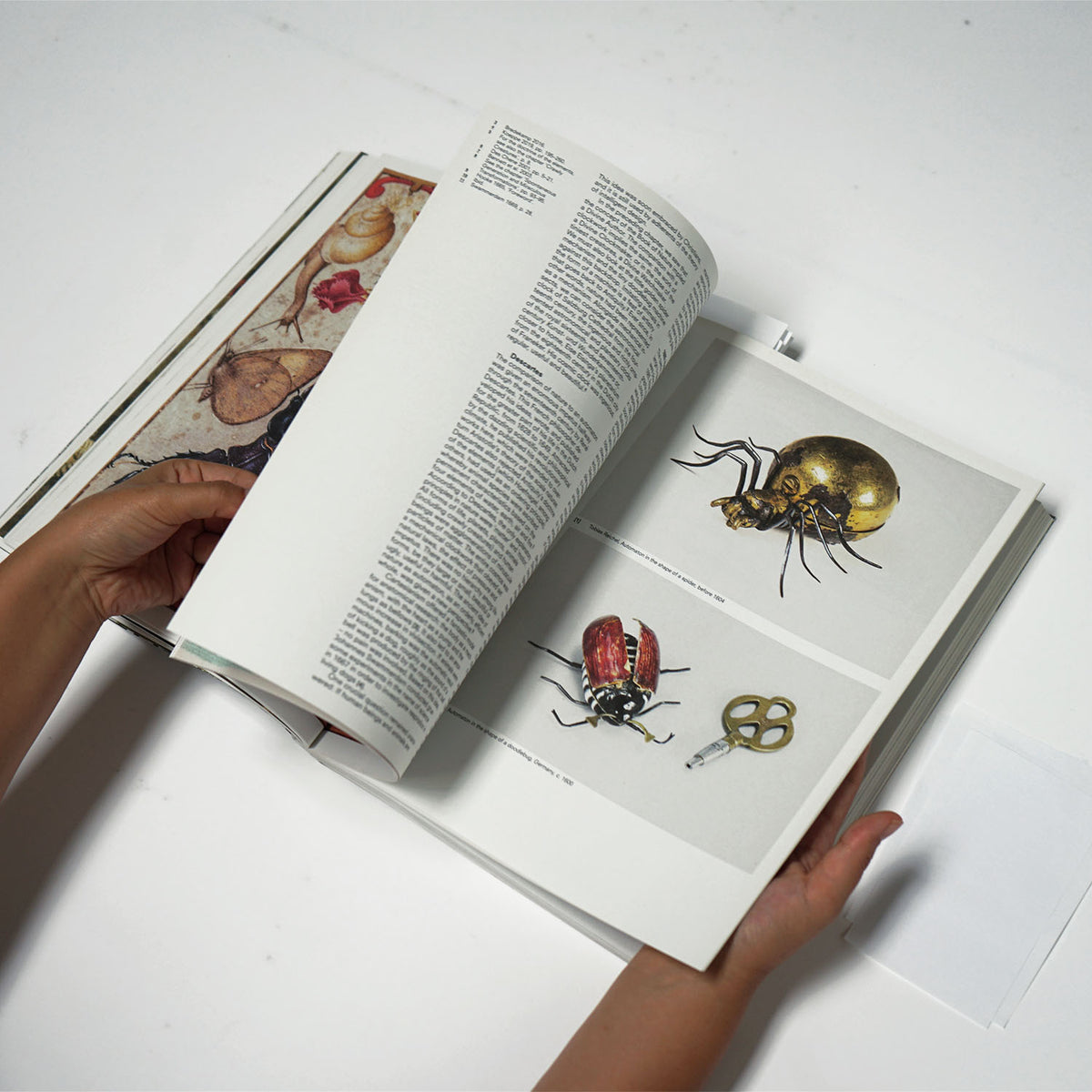 Crawly Creatures: Little Animals in Art and Science