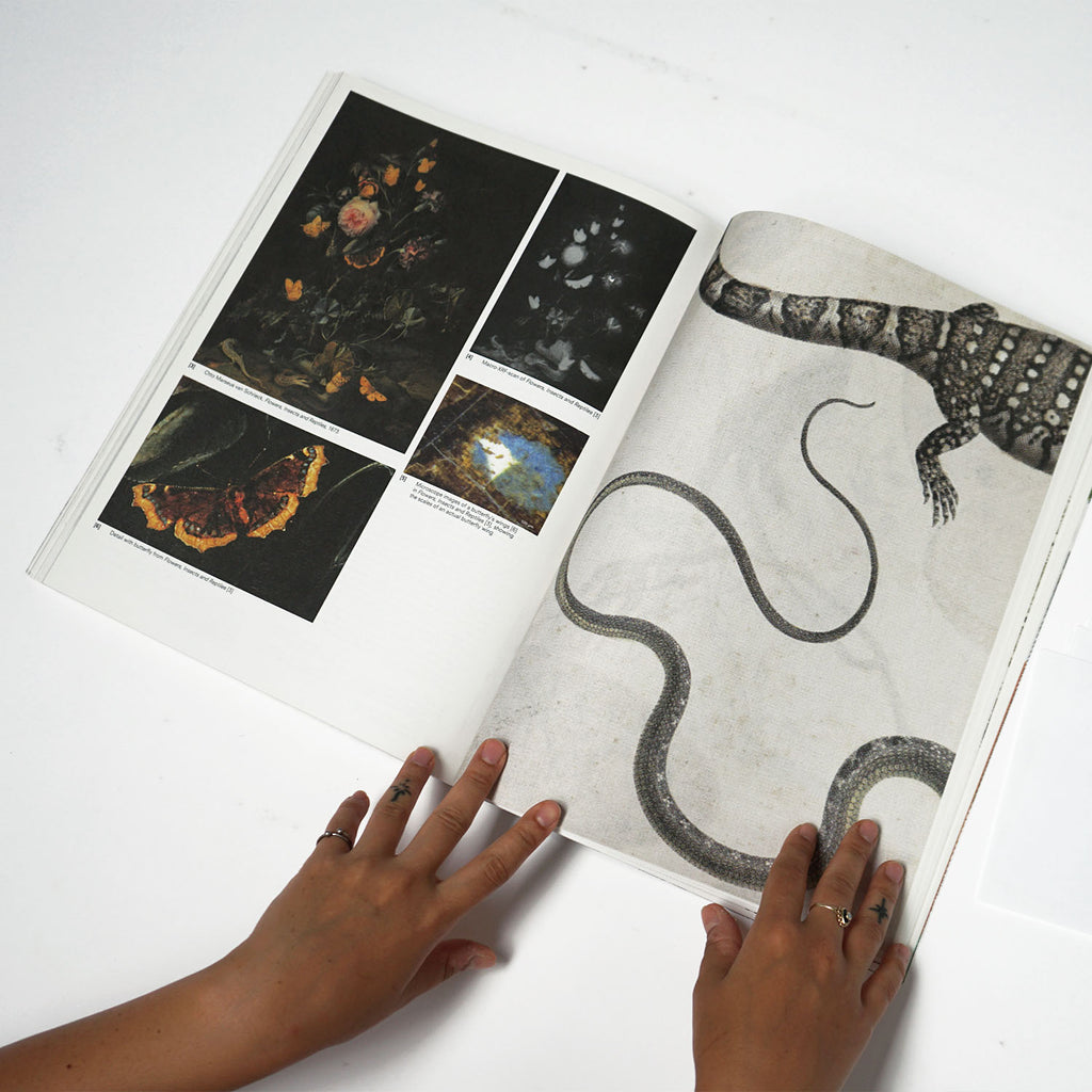 Crawly Creatures: Little Animals in Art and Science