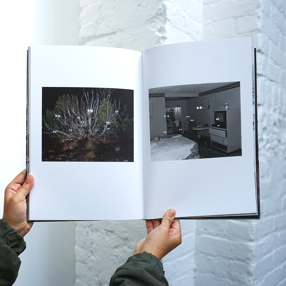 The Great Unreal (2nd edition) - Taiyo Onorato, Nico Krebs