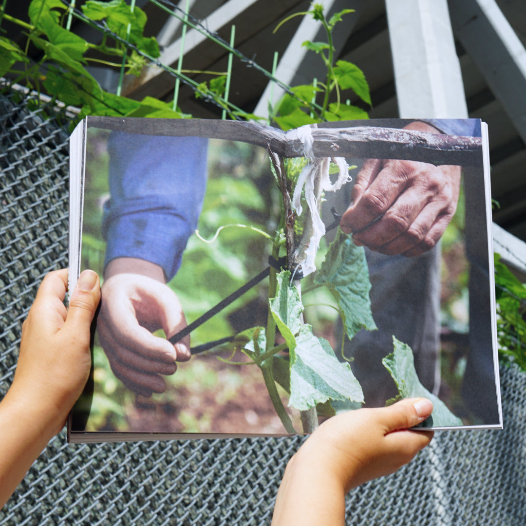 Notes from the Underdog: Agriculture for Subsistence in Porto