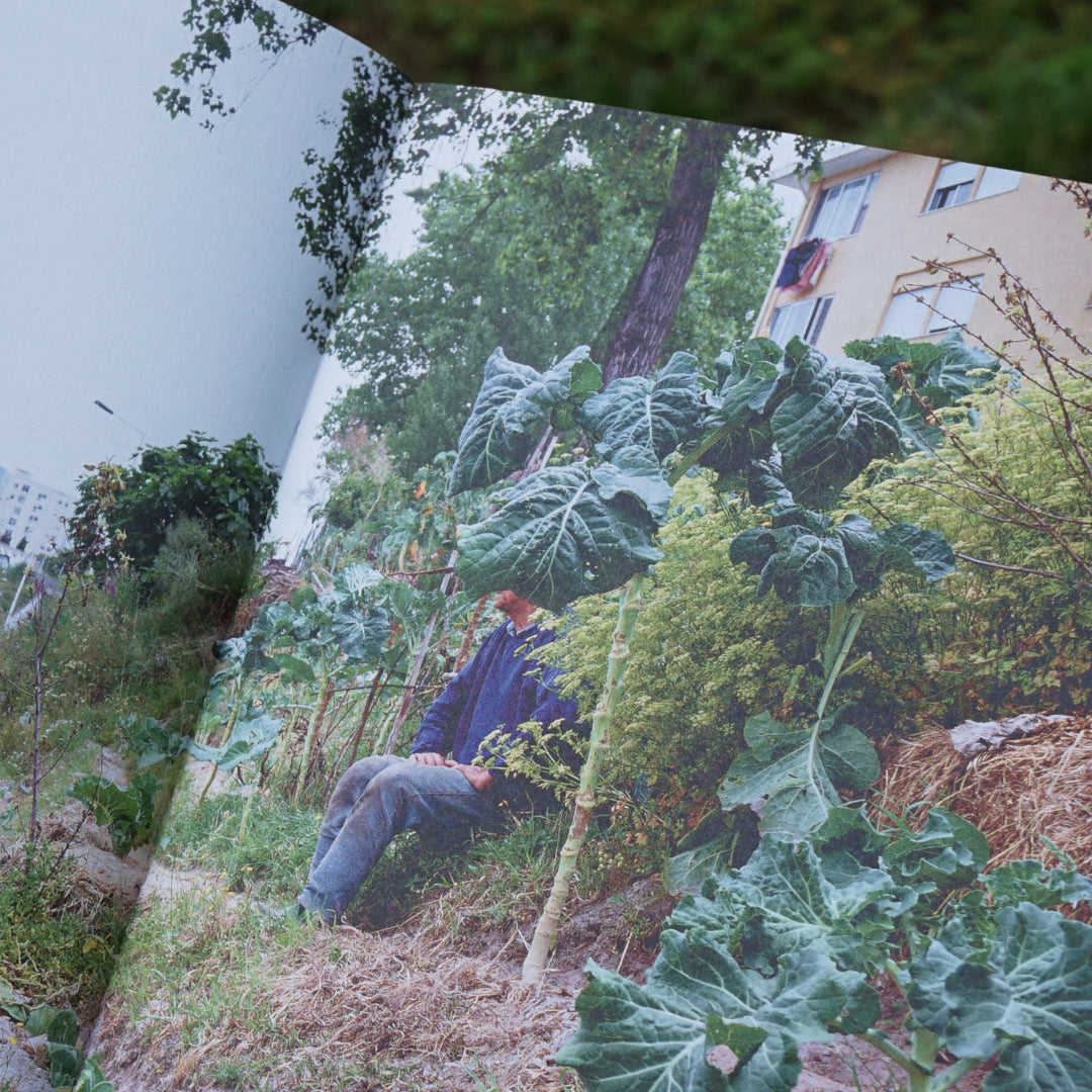 Notes from the Underdog: Agriculture for Subsistence in Porto