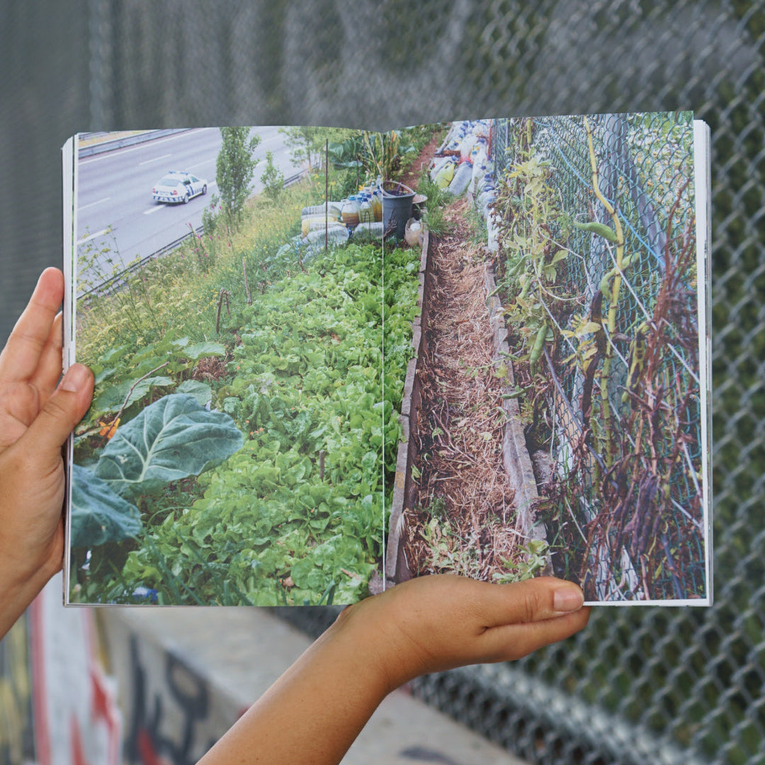 A person holds an open book showing a printed photograph of a lush green garden bed next to a chain-link fence, with a street and car visible in the upper left of the printed image. The background is a real outdoor environment with a chain-link fence and graffiti.
