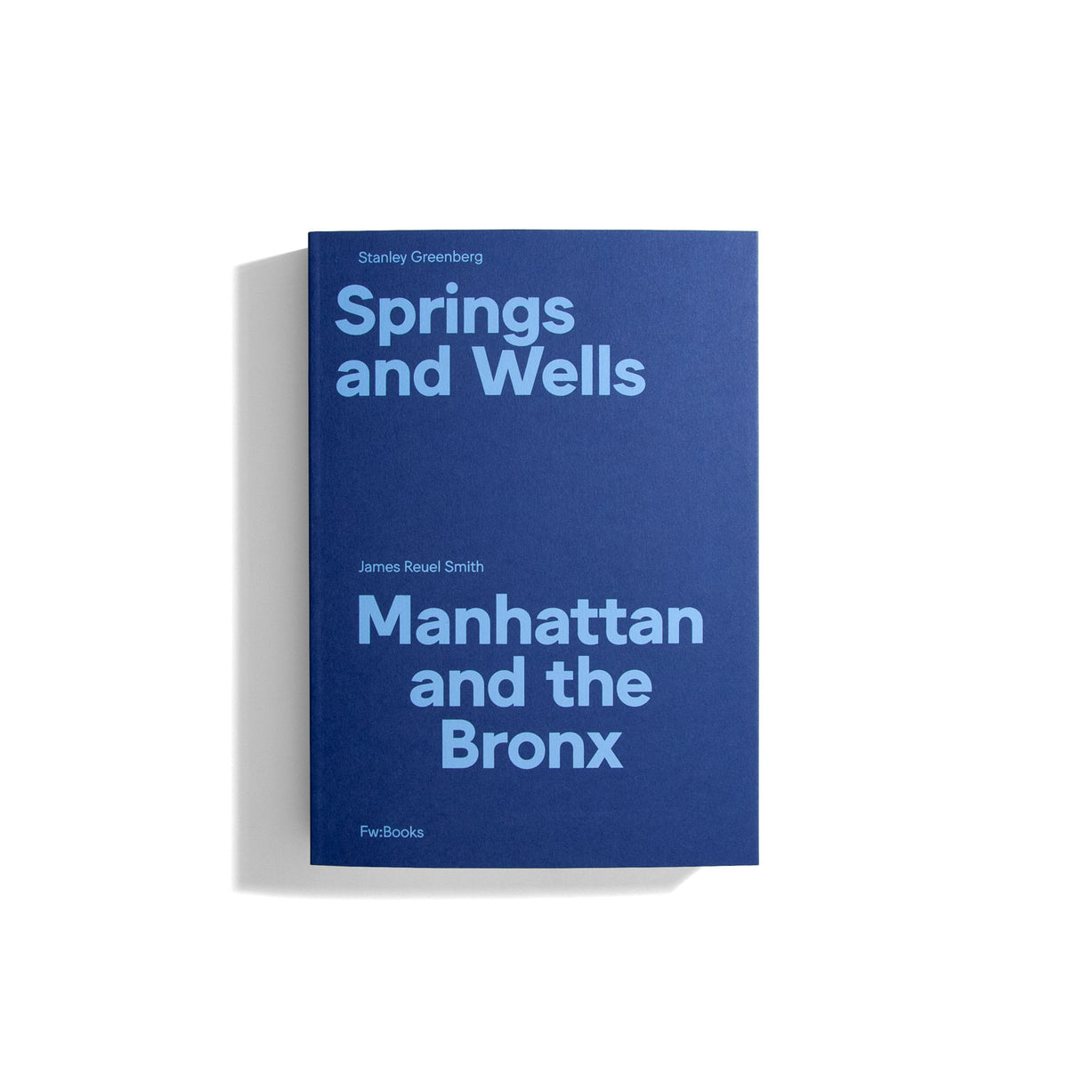 Springs and Wells: Manhattan and the Bronx - Stanley Greenberg
