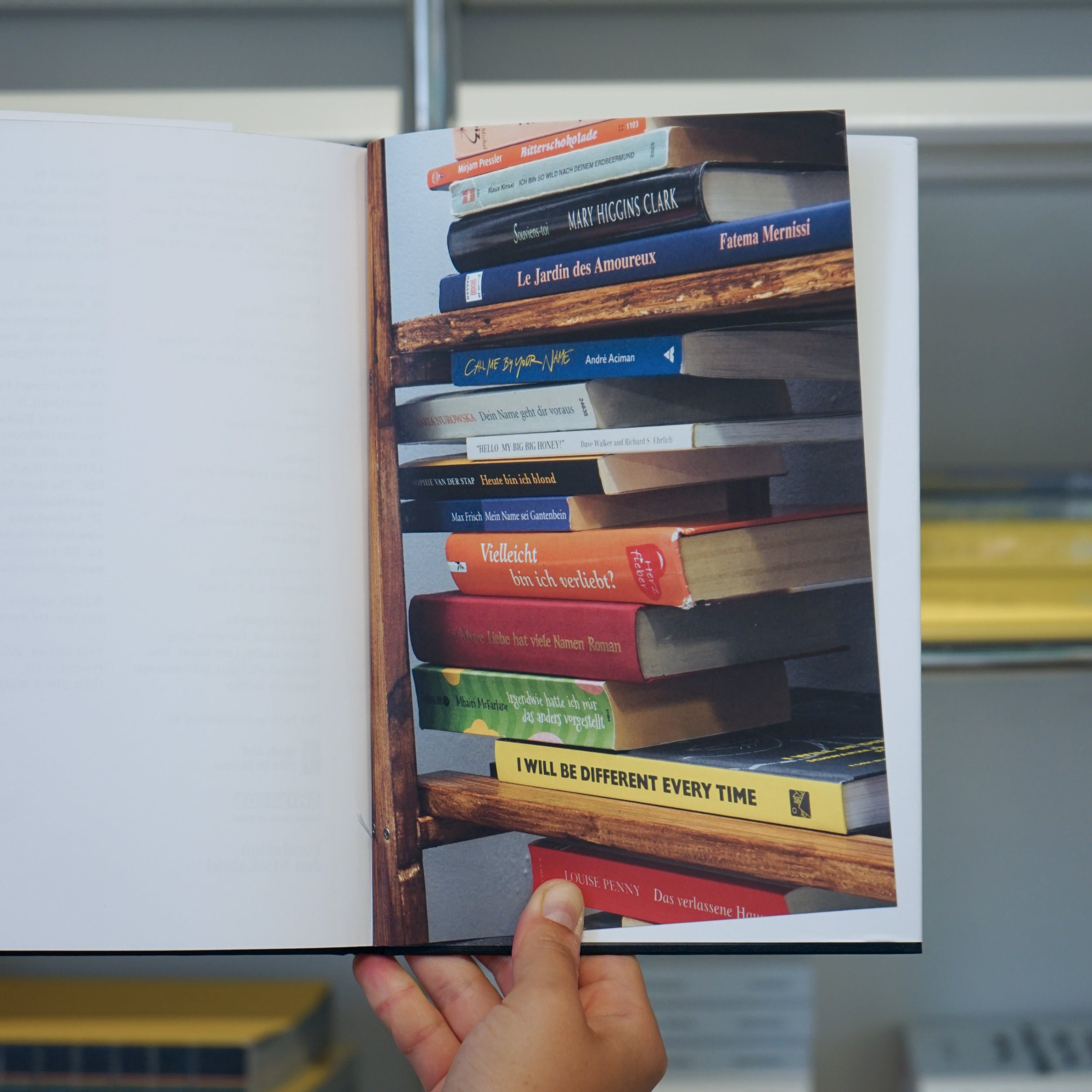 Sadie Plant: Comment Lire a Bookshelf in Einem Buch