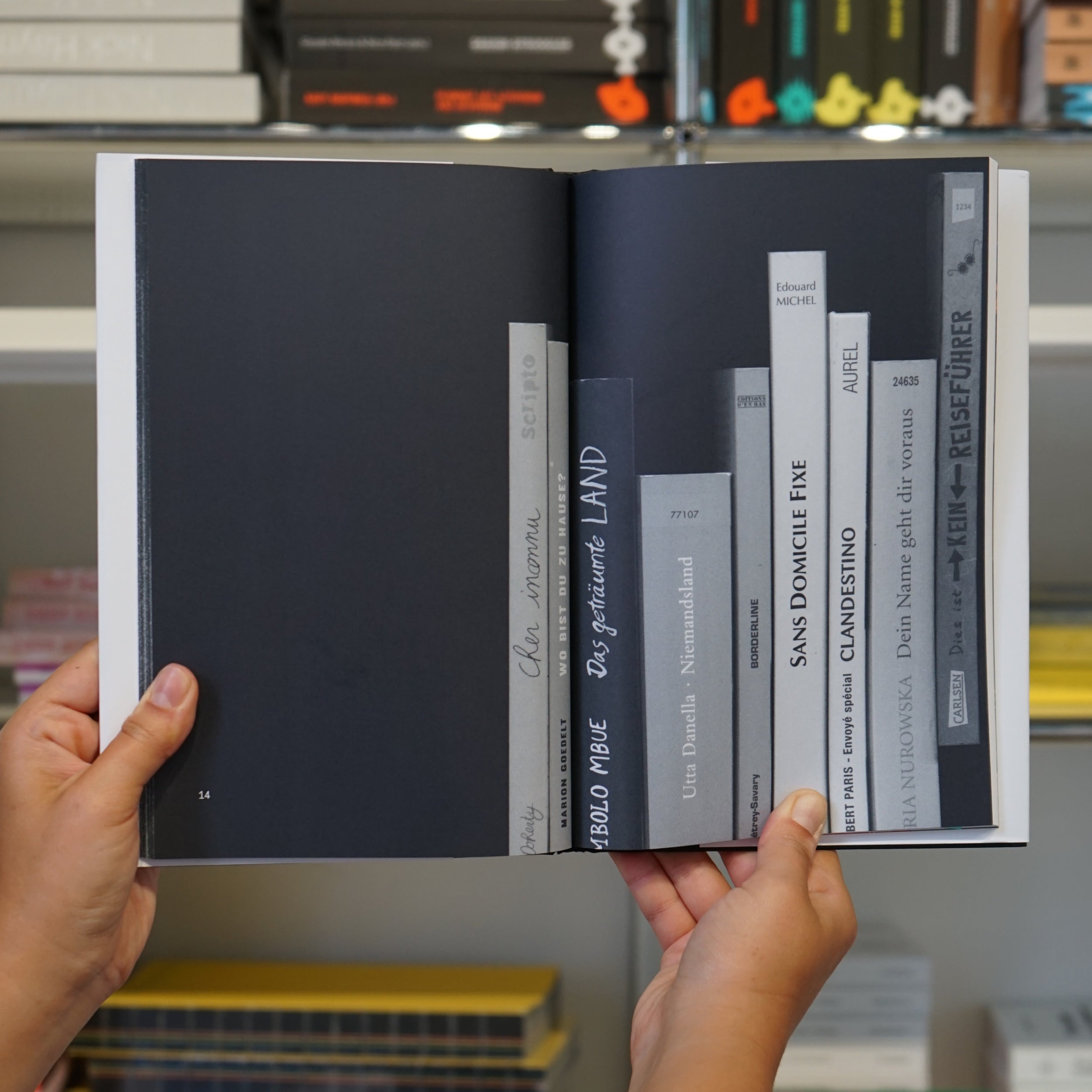 Sadie Plant: Comment Lire a Bookshelf in Einem Buch