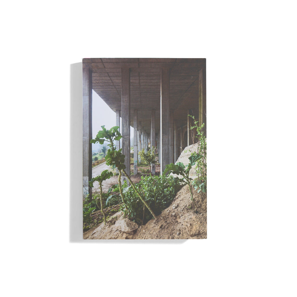 Notes from the Underdog: Agriculture for Subsistence in Porto